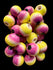 NEO GLAZE Maple TAMA only - Pink Lemonade (yellow bottom)